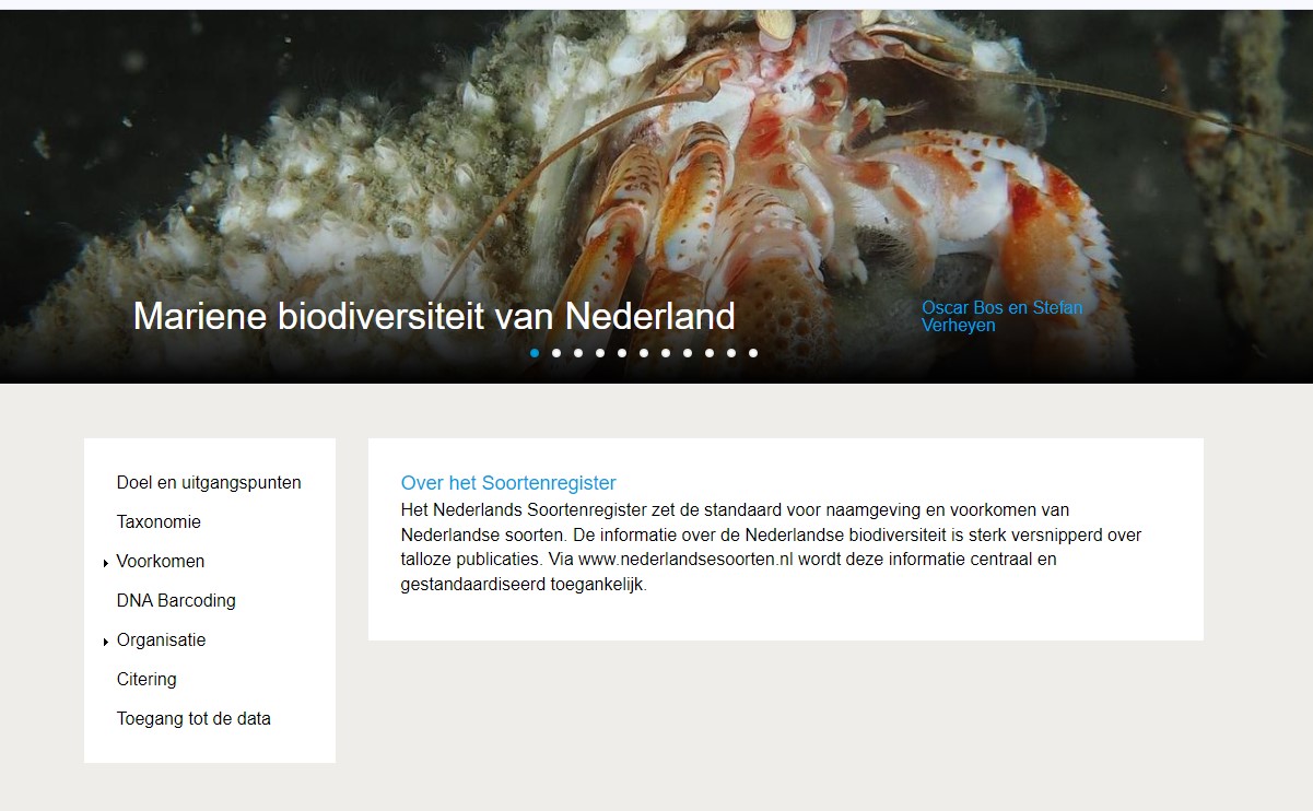 Nederlandse soorten