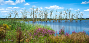 Tusschenwater De Groeve