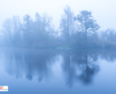 Leekster Hoofddiep in de mist