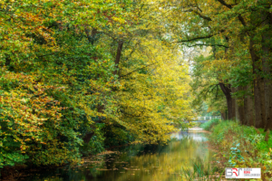 Herfst park Oranjewoud met bruggetje