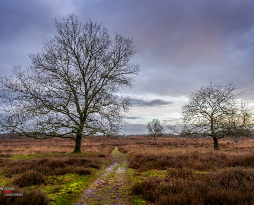 Gasterse Duinen