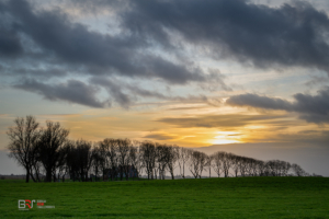 Het Friese Landschap nabij Anjum