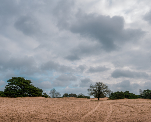 Aekingerzand De Kale Duinen