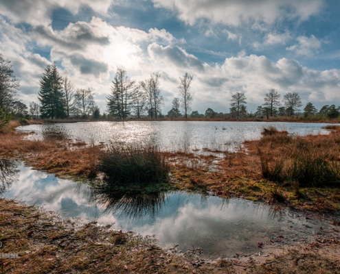 Aekingerzand _ Kale Duinen