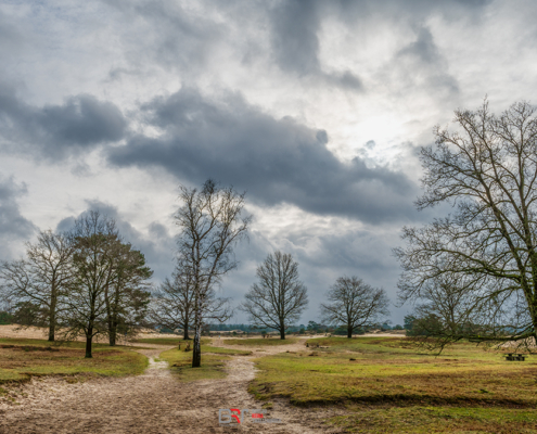 Kale Duinen _ Aekingerzand
