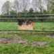 Tuinposter Hertjes
