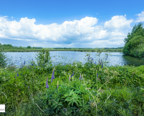 Haarweg Nieuw Ballinge
