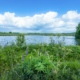 Haarweg Nieuw Ballinge