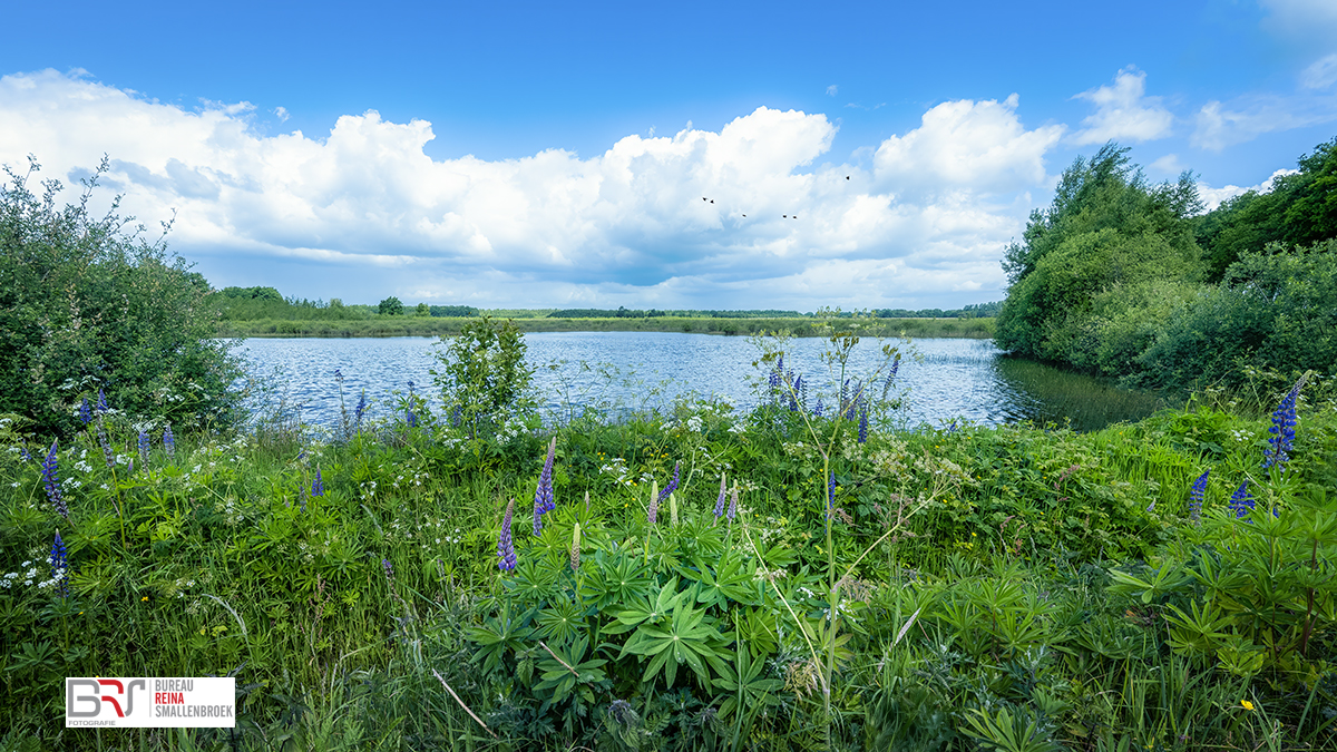Haarweg Nieuw Ballinge