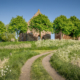 Kerk Ezing met fluitekruid