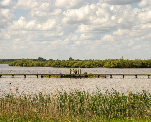 Knuppelpad Roegwold Dannemeer Het Uitzicht