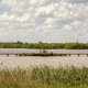 Knuppelpad Roegwold Dannemeer Het Uitzicht