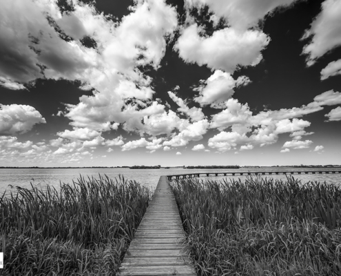 Knuppelpad Roegwold Dannemeer in zwart-wit