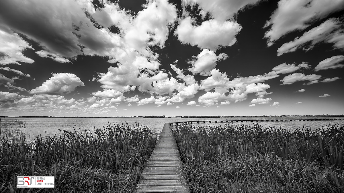 Knuppelpad Roegwold Dannemeer in zwart-wit