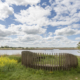 Mijmerbank met koolzaad