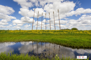 Monument Oerwold Onlanden met wolken reflectie en koolzaad