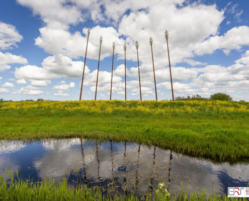 Monument Oerwold Onlanden met wolken reflectie en koolzaad