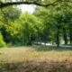Recreatieterrein meer De Oldemeijer Hardenberg