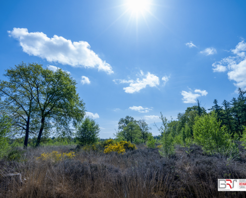 Staatsbosbeheer Heide Hardenberg