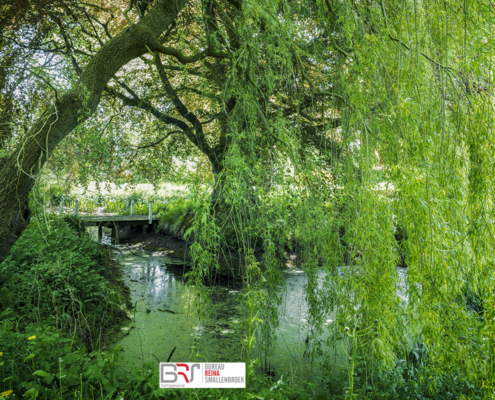 Treurwil met bruggetje botanische tuin Pieterburen