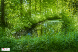 botanische tuin Pieterburen