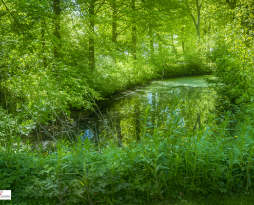 botanische tuin Pieterburen
