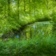 botanische tuin Pieterburen