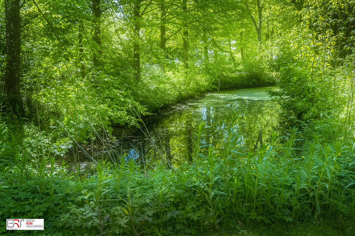 botanische tuin Pieterburen