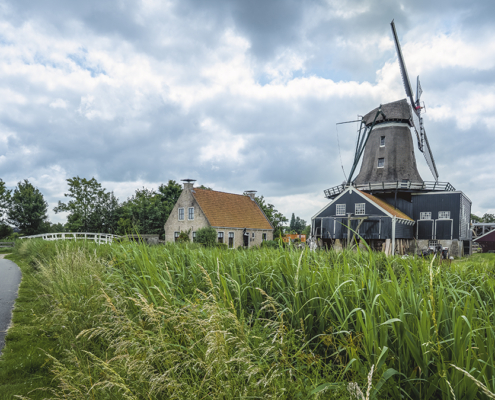 Achterkant Molen de rat ijlst