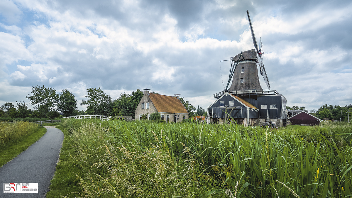 Achterkant Molen de rat ijlst