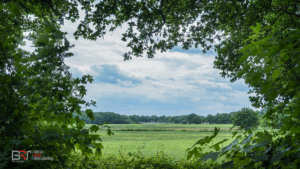 Doorkijkje Weehorsterweg Roden
