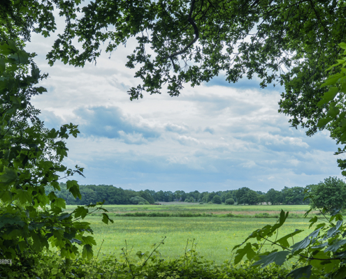 Doorkijkje Weehorsterweg Roden