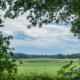 Doorkijkje Weehorsterweg Roden