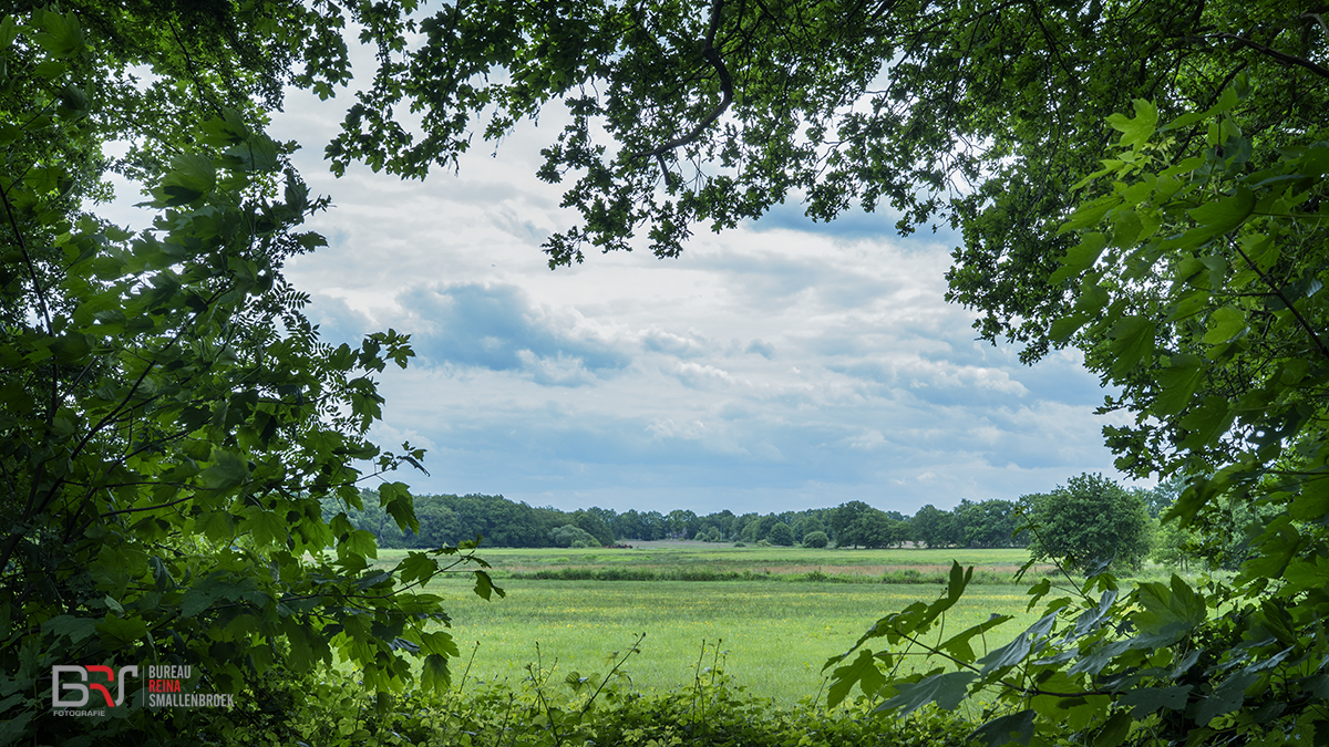 Doorkijkje Weehorsterweg Roden