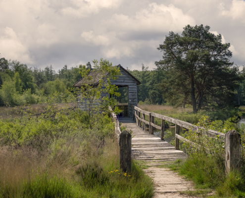 Vogelkijkhut De Haarplas _ voormalig Zwanenmeer _ Rheezerveen