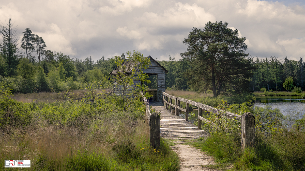 Vogelkijkhut De Haarplas _ voormalig Zwanenmeer _ Rheezerveen