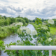 op de brug Peize