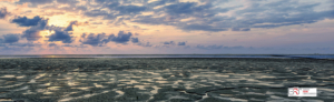 Het Wad bij Ternaard