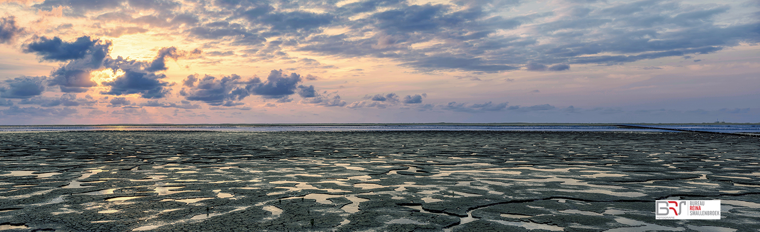 Het Wad bij Ternaard