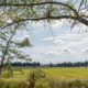 Doorkijk Friesche Veen naar Witte Molen