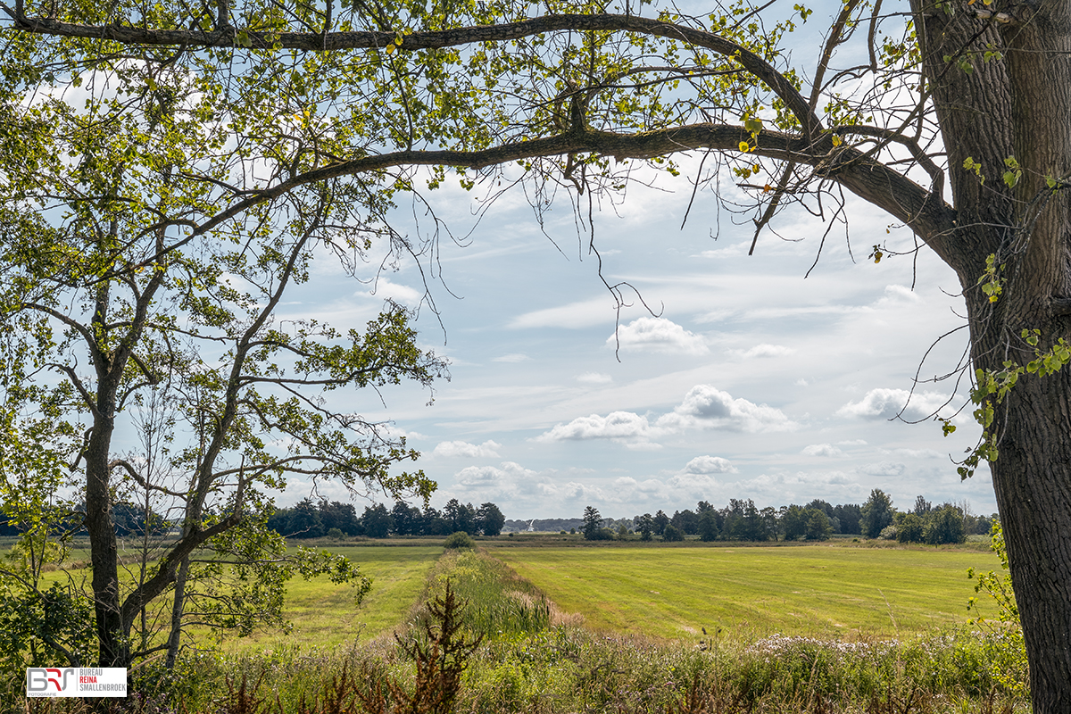 Doorkijk Friesche Veen naar Witte Molen