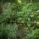 Groen Wedderveer Wedde