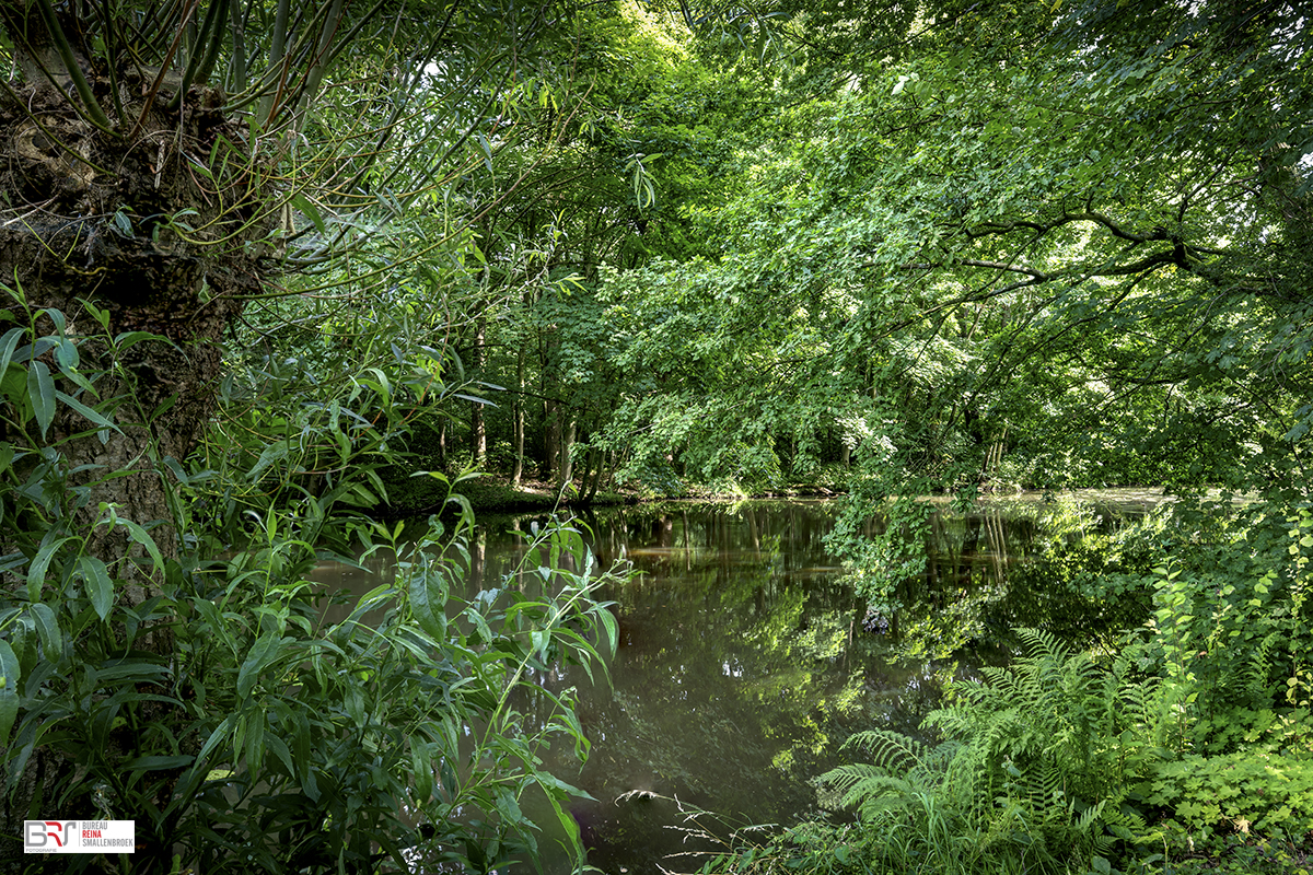 Groen Wedderveer Wedde