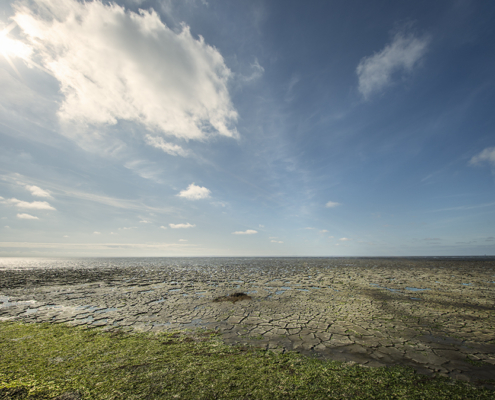 Waddenkust Koehool