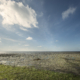 Waddenkust Koehool