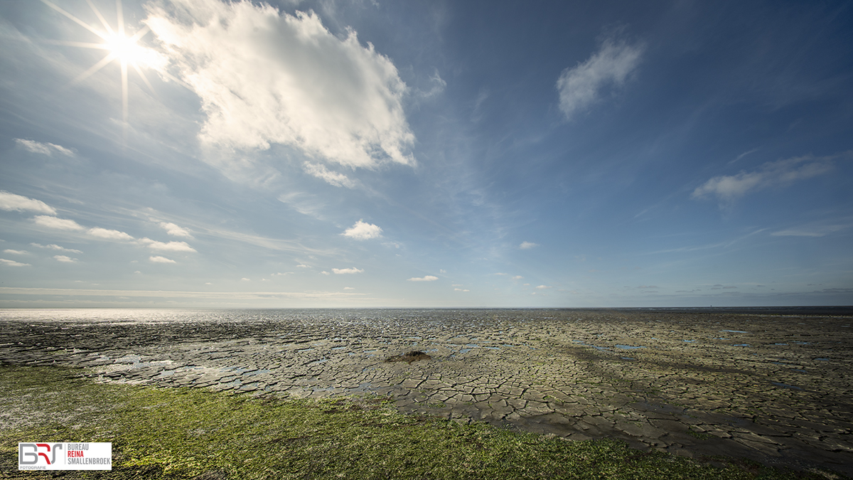 Waddenkust Koehool