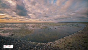 Het Wad bij Ternaard