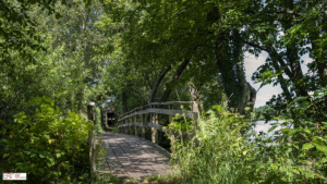 Vogel Kijkhut Friesche Veen