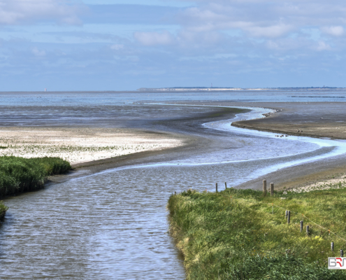 Wad bij Zwarte Haan