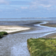 Wad bij Zwarte Haan
